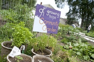 Thumbnail image for growing hope garden.jpg